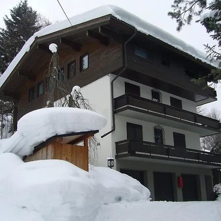 Apartment Bernkogel *